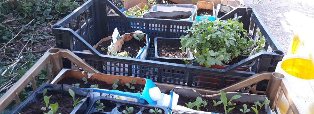 Frühlings-Tag und Nachtgleiche- Ostara 