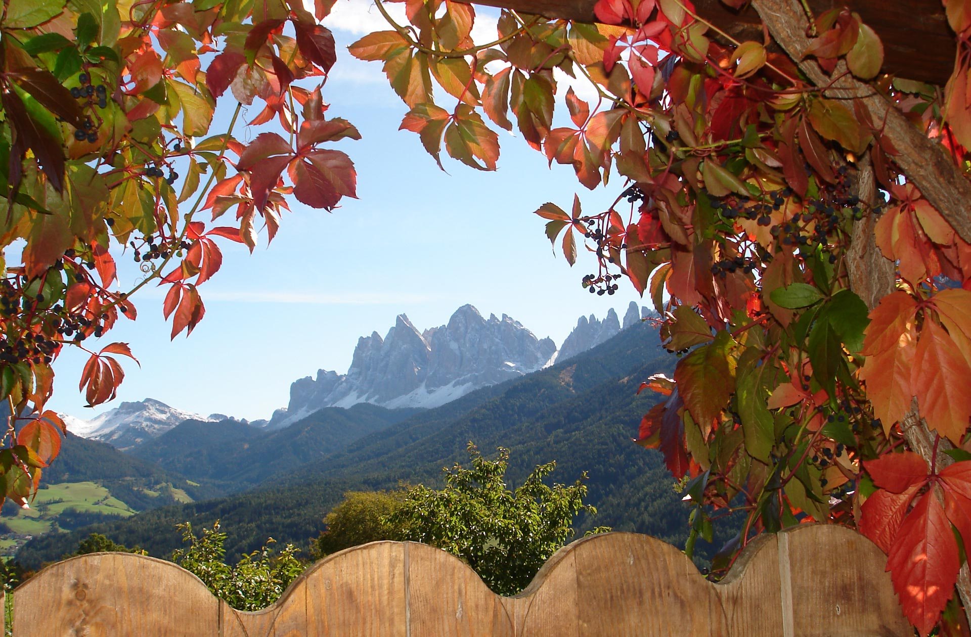 Atmosfera accogliente