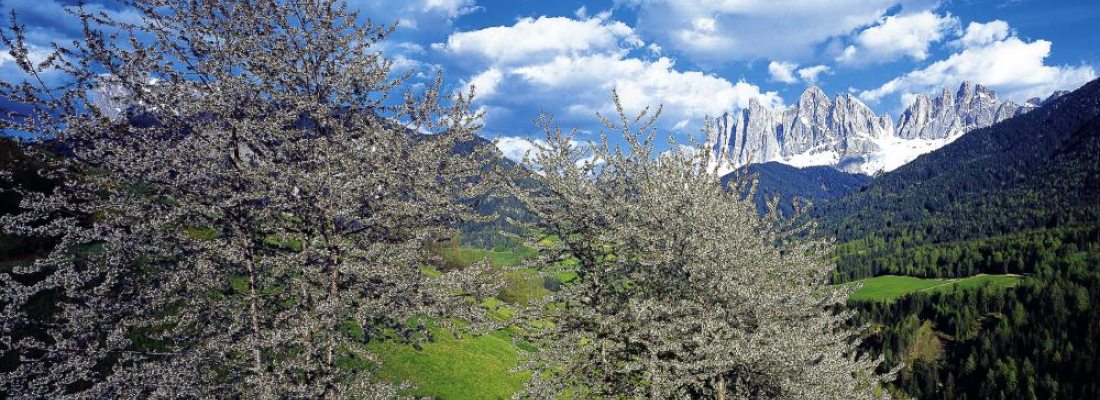 offerte primavera