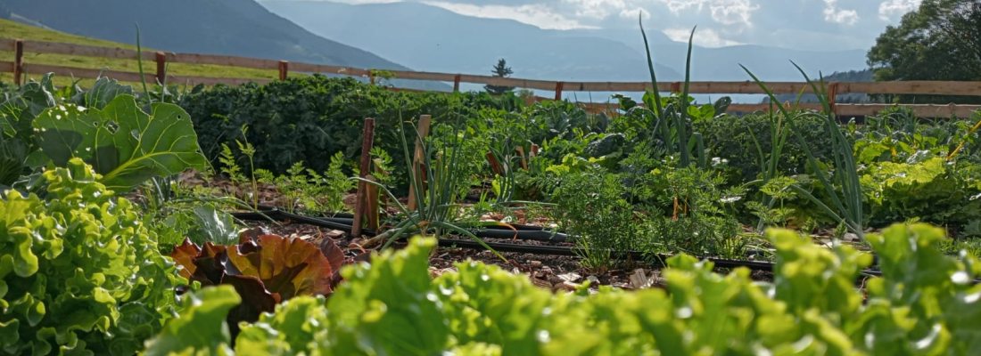 verdure....